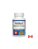 Wellbetx Mulberry Extract 100 mg - 90 Kapseln