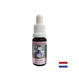 Für Gleichgewicht und Ruhe - Verbena Essence Nr. 31, Tropfen 15 ml