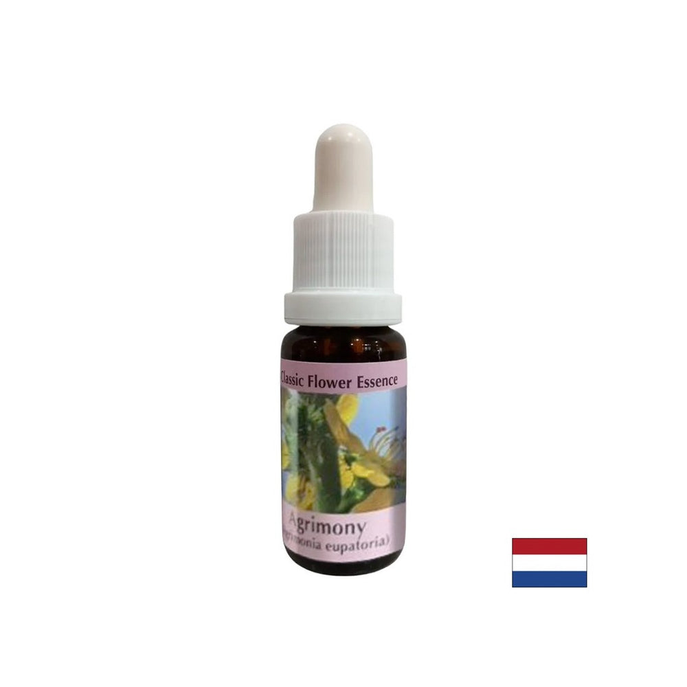 Zum Ausgleich emotionaler Zustände - Essence Healing Whip Nr. 1, Tropfen 15 ml