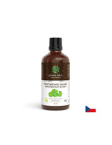 Für die Durchblutung, das Venensystem und das Gehirn - Gotu Kola, 50 ml Tinktur