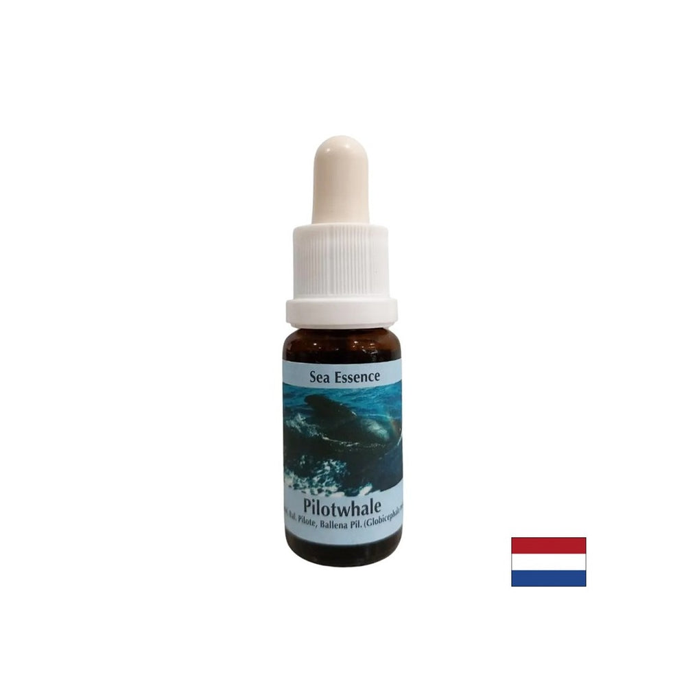 Für Meditation - Essence Black Mahl Nr. 10, Tropfen 15 ml