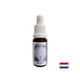 Zum Finden der richtigen Worte - Essence Mechiel (Angel Essence Nr. 16), fällt 15 ml ab