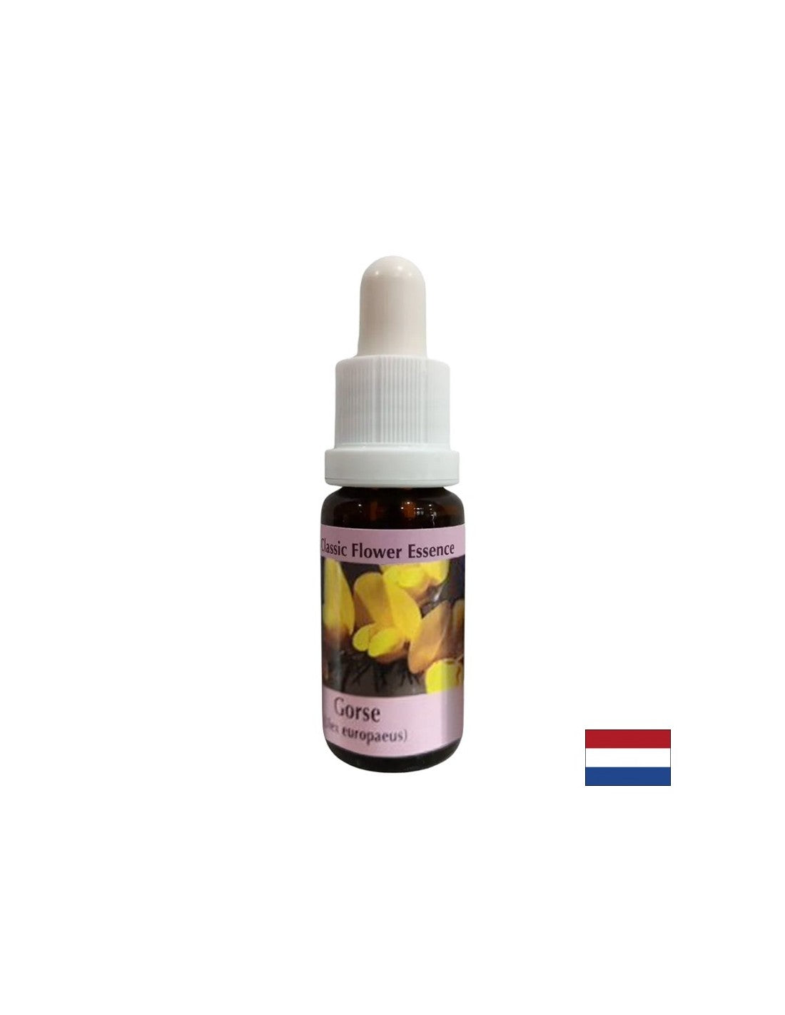 Für einen Neuanfang - Essence Preshtip Nr. 13, Tropfen 15 ml