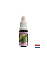Für mehr Energie und Motivation - Hornbeam Essenz Nr. 17, fällt 15 ml ab 15 ml