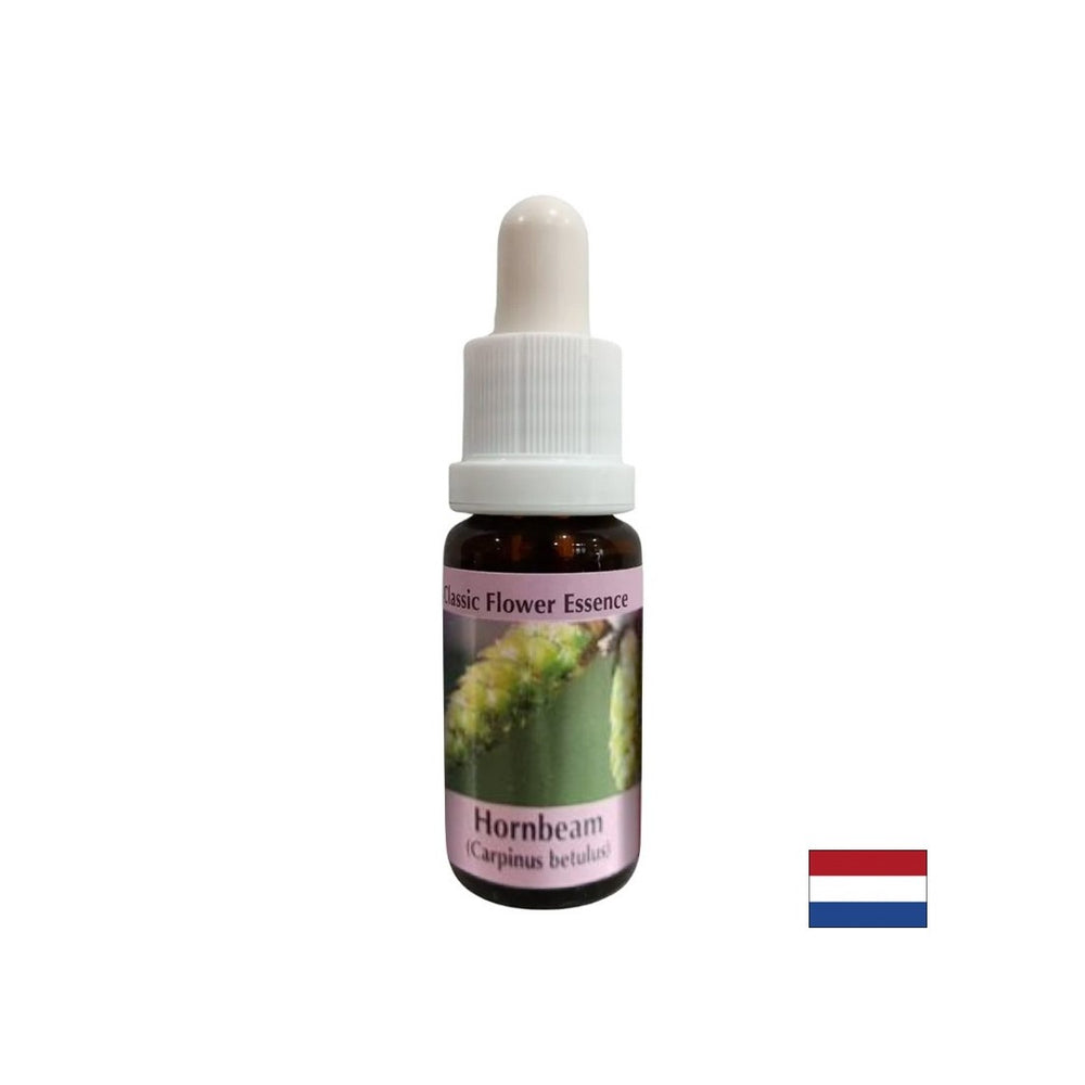 Für mehr Energie und Motivation - Hornbeam Essenz Nr. 17, fällt 15 ml ab 15 ml