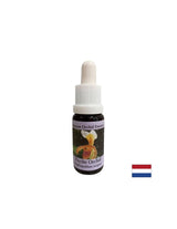 Für die Erkennung wichtiger Aufgaben - Orchidessenz Psyche Nr. 17, Tropfen 15 ml