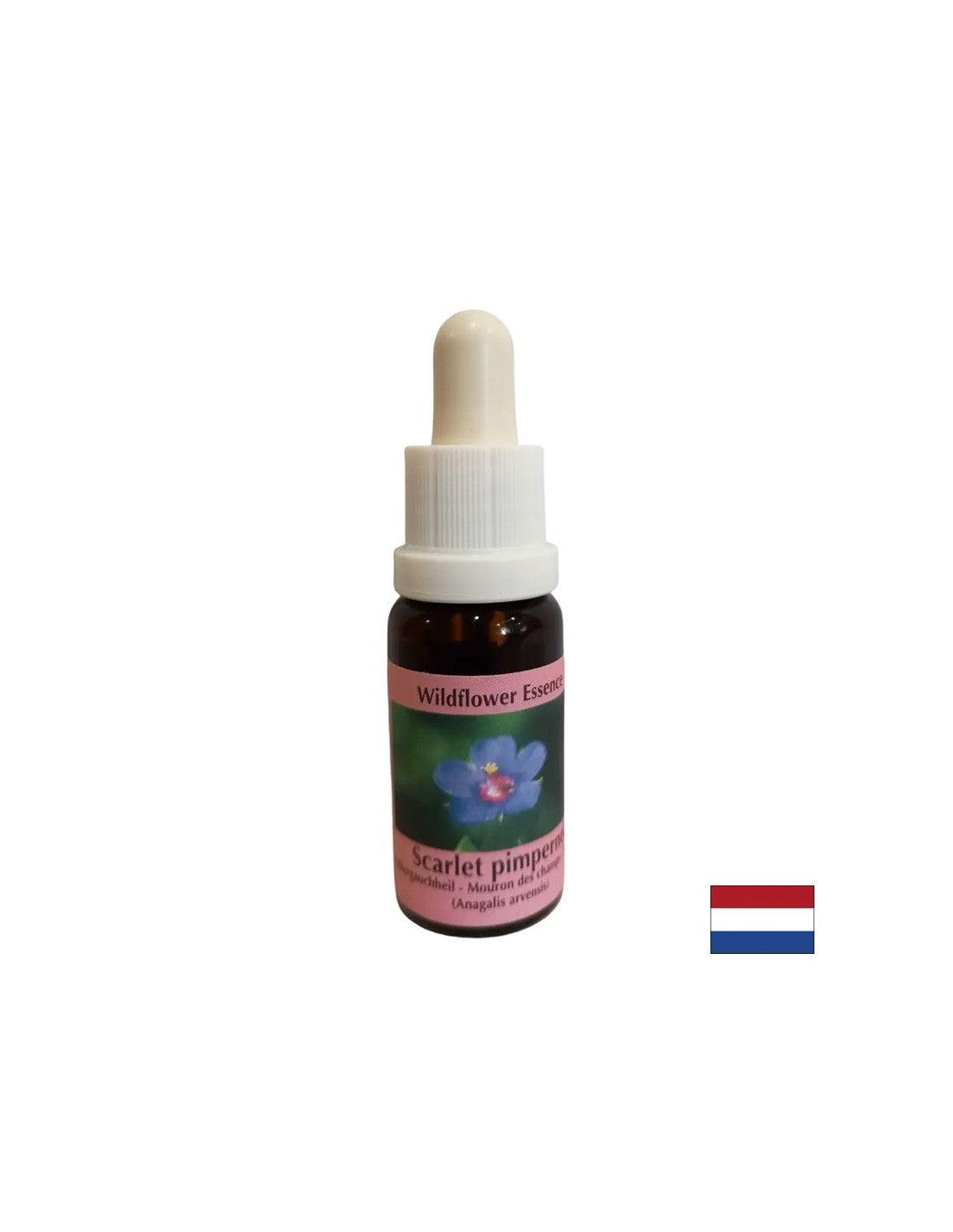 Für Selbstfindung und Integration - Essence polnische Fireweed Nr. 21, Tropfen 15 ml
