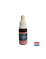Für Selbstfindung und Integration - Essence polnische Fireweed Nr. 21, Tropfen 15 ml