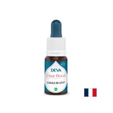 Für verbale Expression - Hundwood (Antirrhinum), Bach -Tropfen, 15 ml
