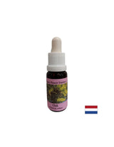Energetisiert - Oak Essenz Nr. 22, Tropfen 15 ml