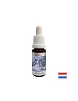 Anklage mit Stärke - Essenz Hahasia (Engel Essenz Nr. 11), Tropfen 15 ml
