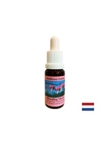 Stärkt das Herzchakra und fördert die Regeneration - Essence Women's Heart Nr. 17, Tropfen 15 ml