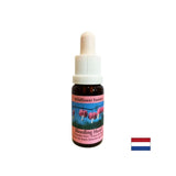 Stärkt das Herzchakra und fördert die Regeneration - Essence Women's Heart Nr. 17, Tropfen 15 ml